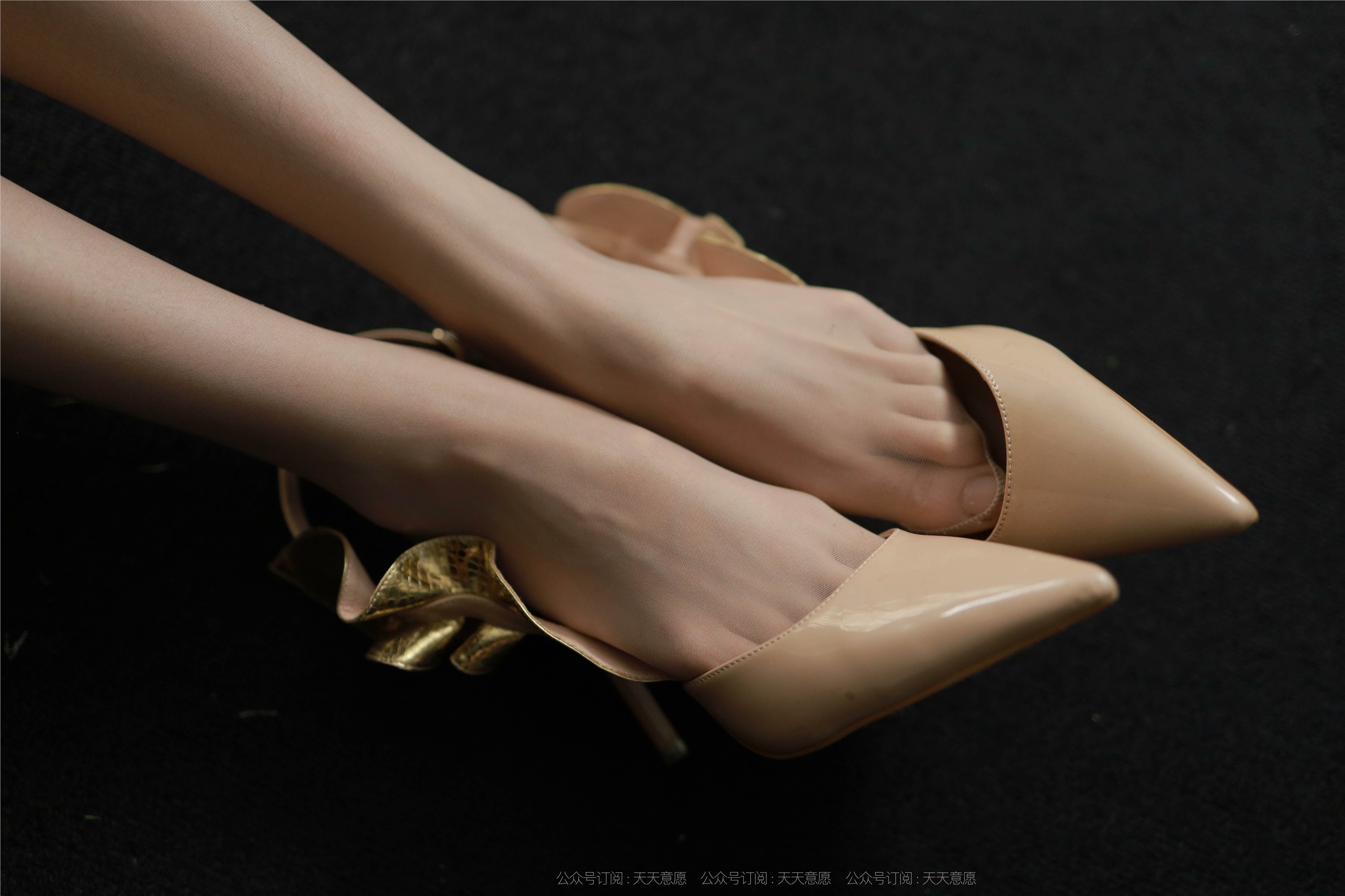 IESS异思趣向  2021.11.08 丝享家969：团团《迷人的金色波纹》